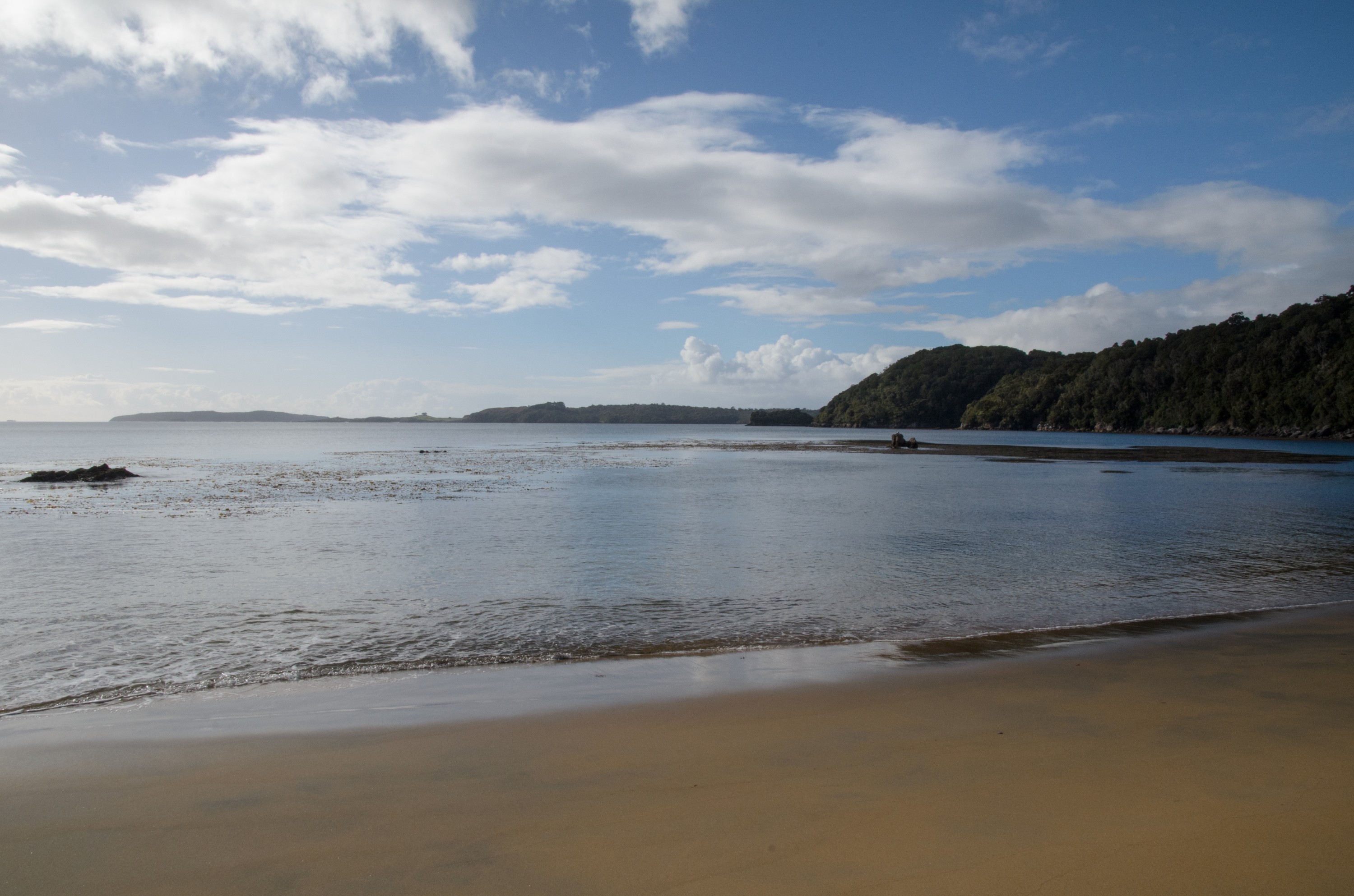 DSC_3136 – Adventure, Crispin, Island, March 2017, National Park, New, New Zealand, Rakiura, South, Stewart, Ulva, Ulva Island, Zealand
